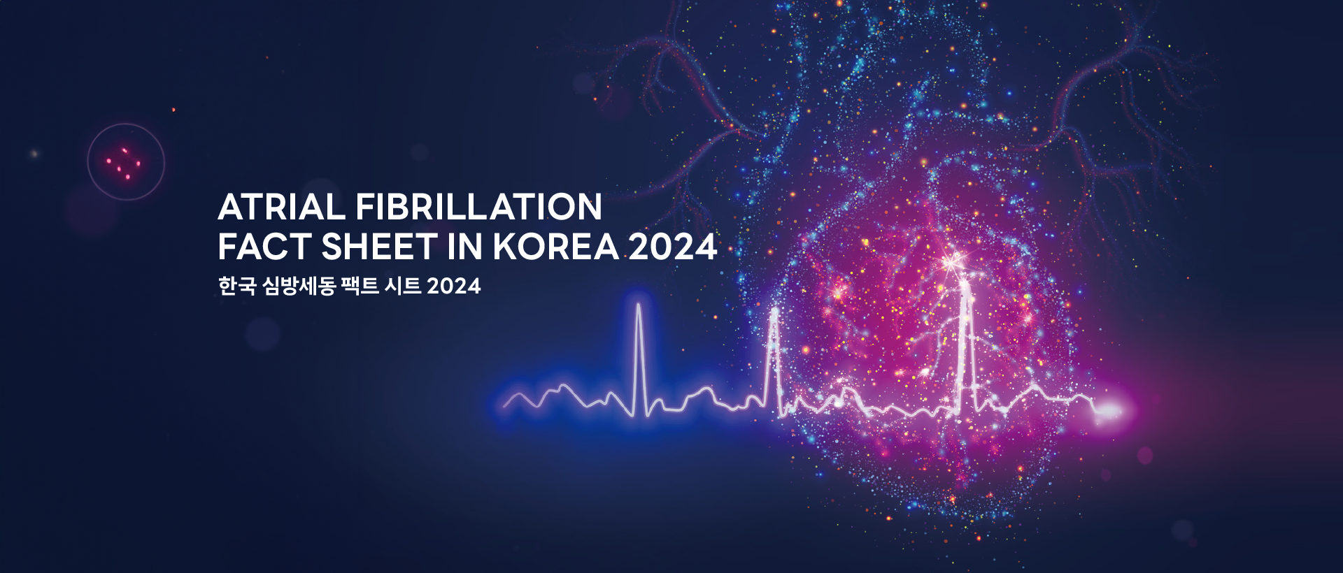 한국 심방세동 팩트시트 2024